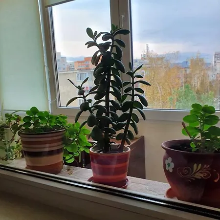 Apartament Karina Апартаменти